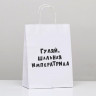 Пакет подароч.бумаж. 24*10,5*32см «Гуляй шальная императрица» арт.9670338