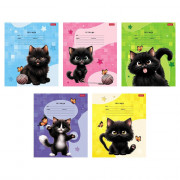 Тетрадь 18 листов линия (Hatber) Черный котик ассорти арт 18Т5В2