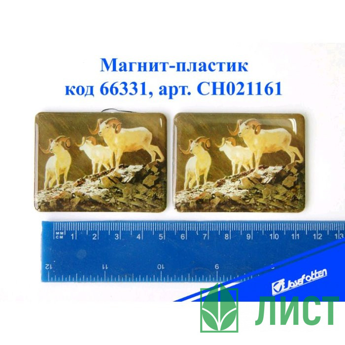 яяяМагнит СИМВОЛ ГОДА-пластик "Горные козлы" 4,5*6см асс. арт.CH021161
