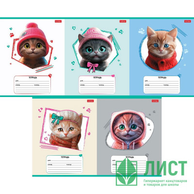 Тетрадь 12 листов линия (Hatber) Мы-котики! ассорти арт.12Т5В2 Тетрадь 12 листов линия (Hatber) Мы-котики! ассорти арт.12Т5В2