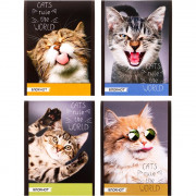 Блокнот А6 мягкая обложка скоба 32 листа (Проф-Пресс) Коты на позитиве ассорти арт Б32-0558