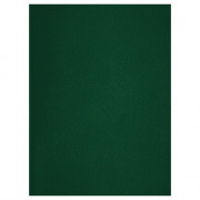 Тетрадь А4 клетка 48 листов бумвинил скоба (BG) зеленый арт.Т4бв48к_12322