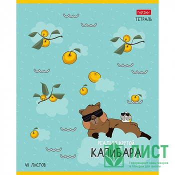 Тетрадь А5 клетка 48 листов скоба (Hatber) Реально крутой Капибара ассорти арт.48Т5В1 Тетрадь А5 клетка 48 листов скоба (Hatber) Реально крутой Капибара ассорти арт.48Т5В1