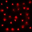 Гирлянда электрическая для дома точечная 24м 300LED цвет красный (светлый провод) 8режимов арт.128-006 - my_207881