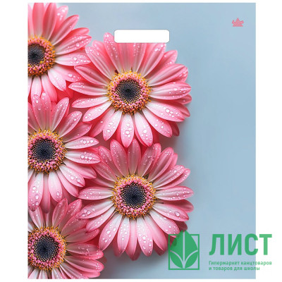 Пакет ПВД прорезная ручка 38*45+3 60мкм Герберы шанис Пакет ПВД прорезная ручка 38*45+3 60мкм Герберы шанис