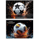 Альбом для рисования 40 листов скоба (Prof-Press) Разные футбольные мячи-8 ассорти арт.40-7274