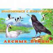 Книжка мягкая обложка А5 (Фламинго) Знакомимся с животными Лесные птицы арт 27681