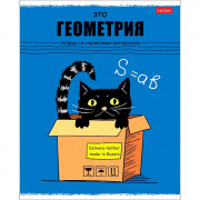 Тетрадь предметная 48 листов (Hatber) Черный кот Геометрия арт.48Т5Вd1_26687