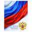 Дневник школьный твердая обложка Феникс Дневник российского школьника Триколор на белом глянцевая ламинация арт.72741 - 