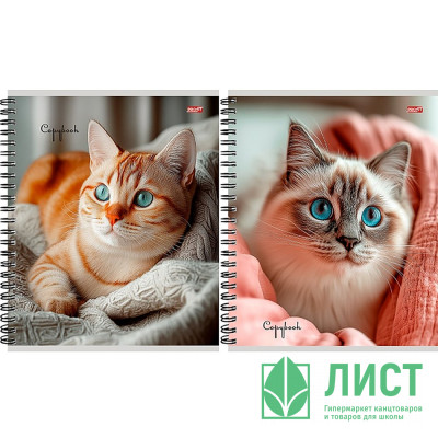 Тетрадь А5 клетка 80 листов на гребне (Profit) Уютные котики мелов. обл. асс. арт.80-8926 Тетрадь А5 клетка 80 листов на гребне (Profit) Уютные котики мелов. обл. асс. арт.80-8926
