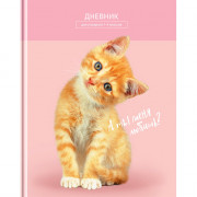 Дневник для младших классов твердая обложка (BG) Любимый котик глянцевая ламинация арт.Д5т48_лг  11384