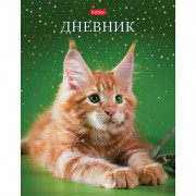 Дневник школьный твердая обложка (Hatber) Рыжий котик глянцевая ламинация арт.40ДТ5В_28474